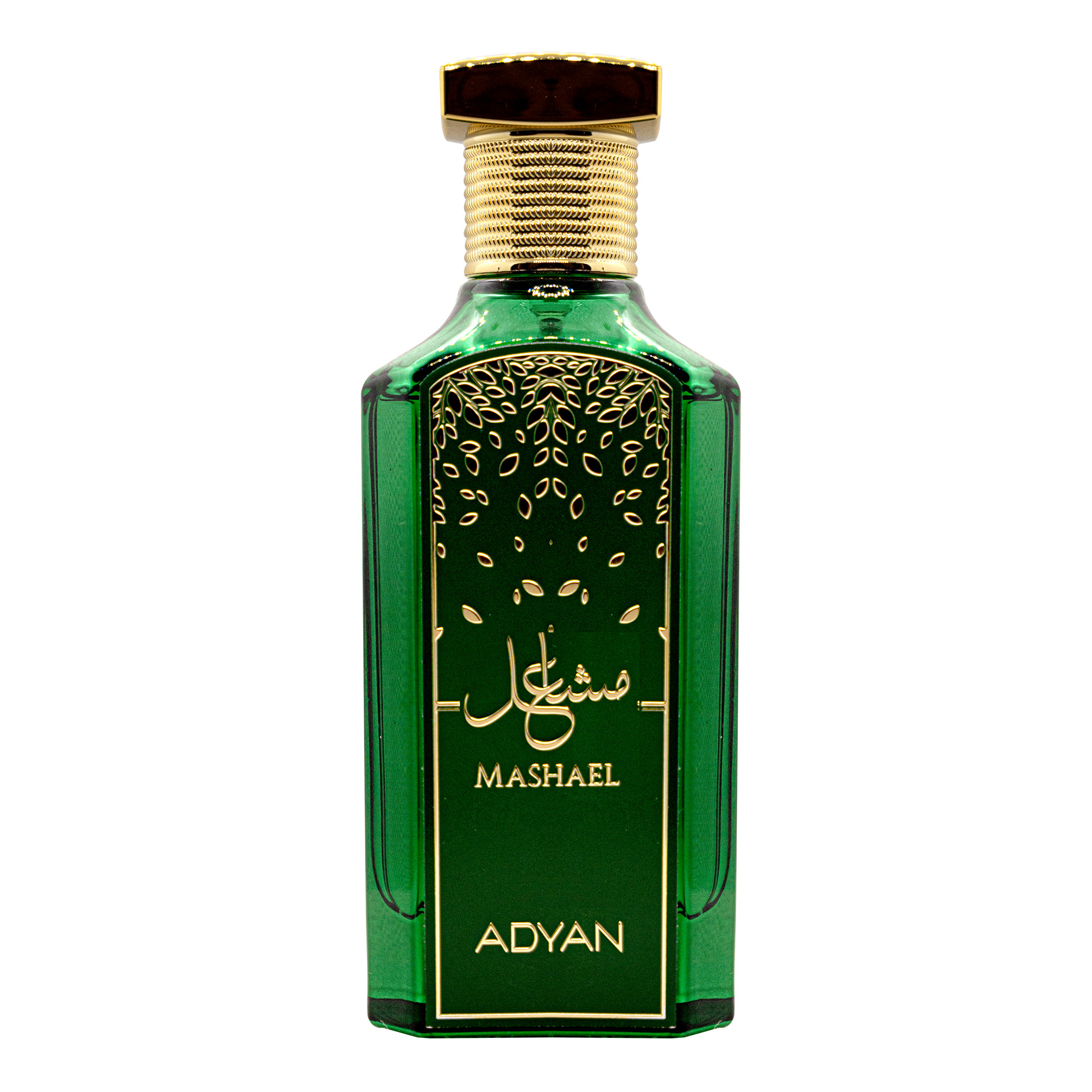ADYAN MASHAEL EDP