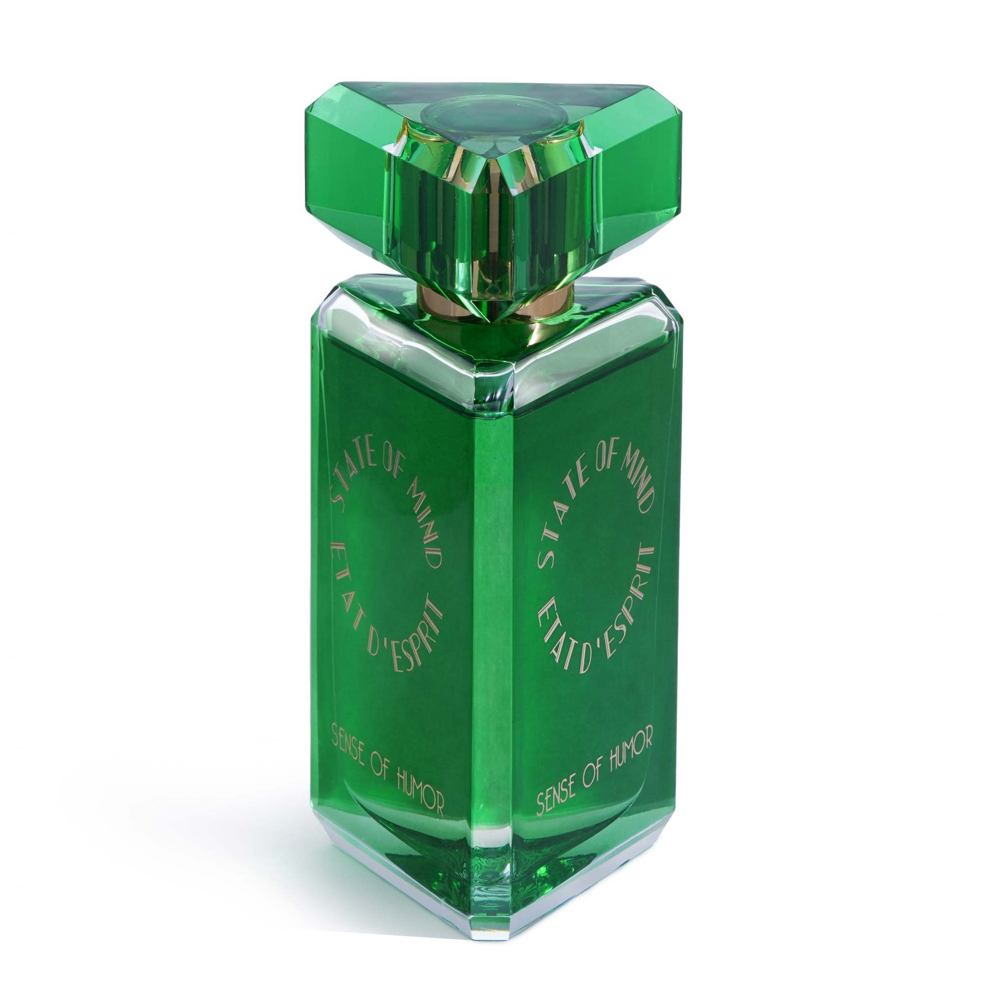 SOM SENSE OF HUMOR EDP