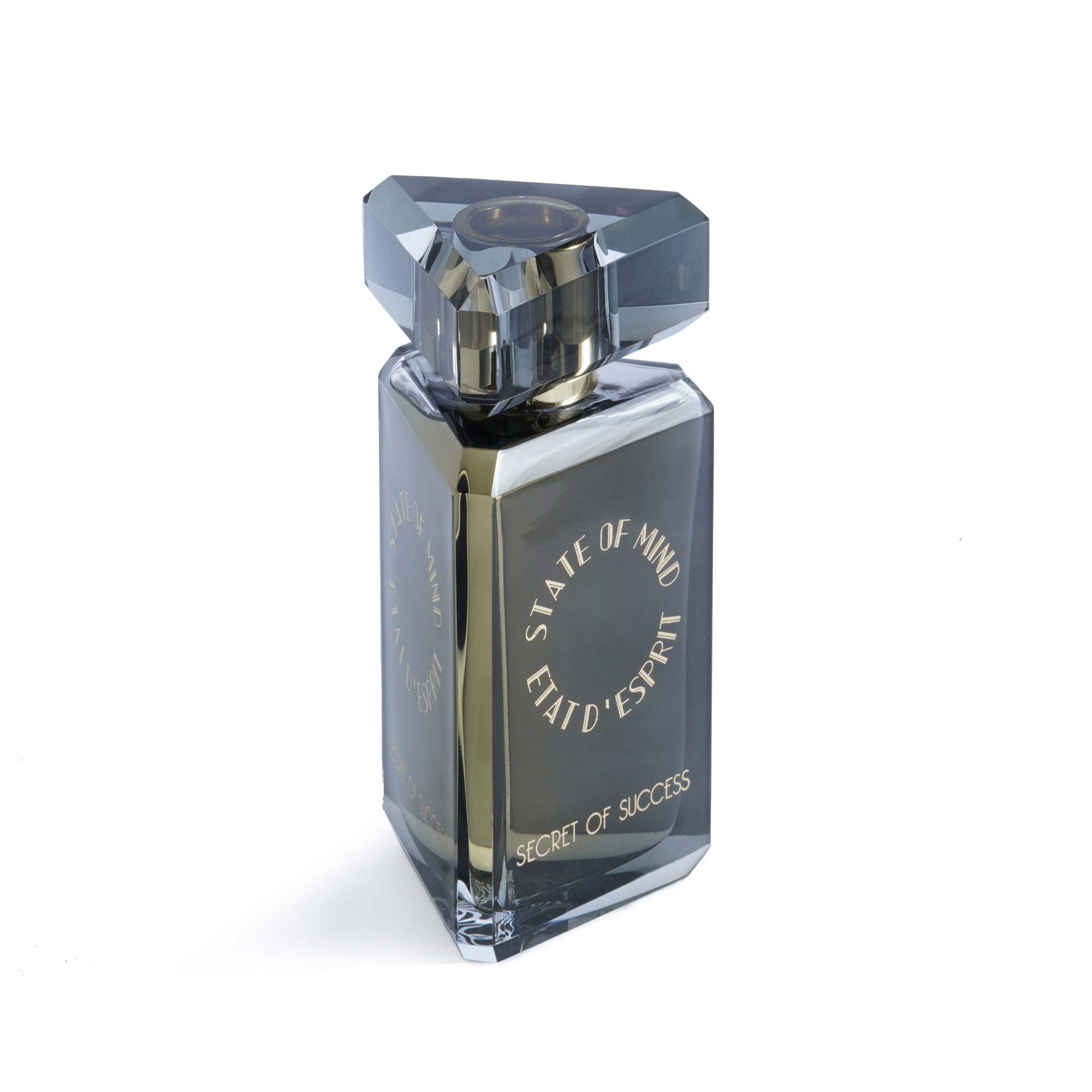 SOM SECRET OF SUCCESS EDP