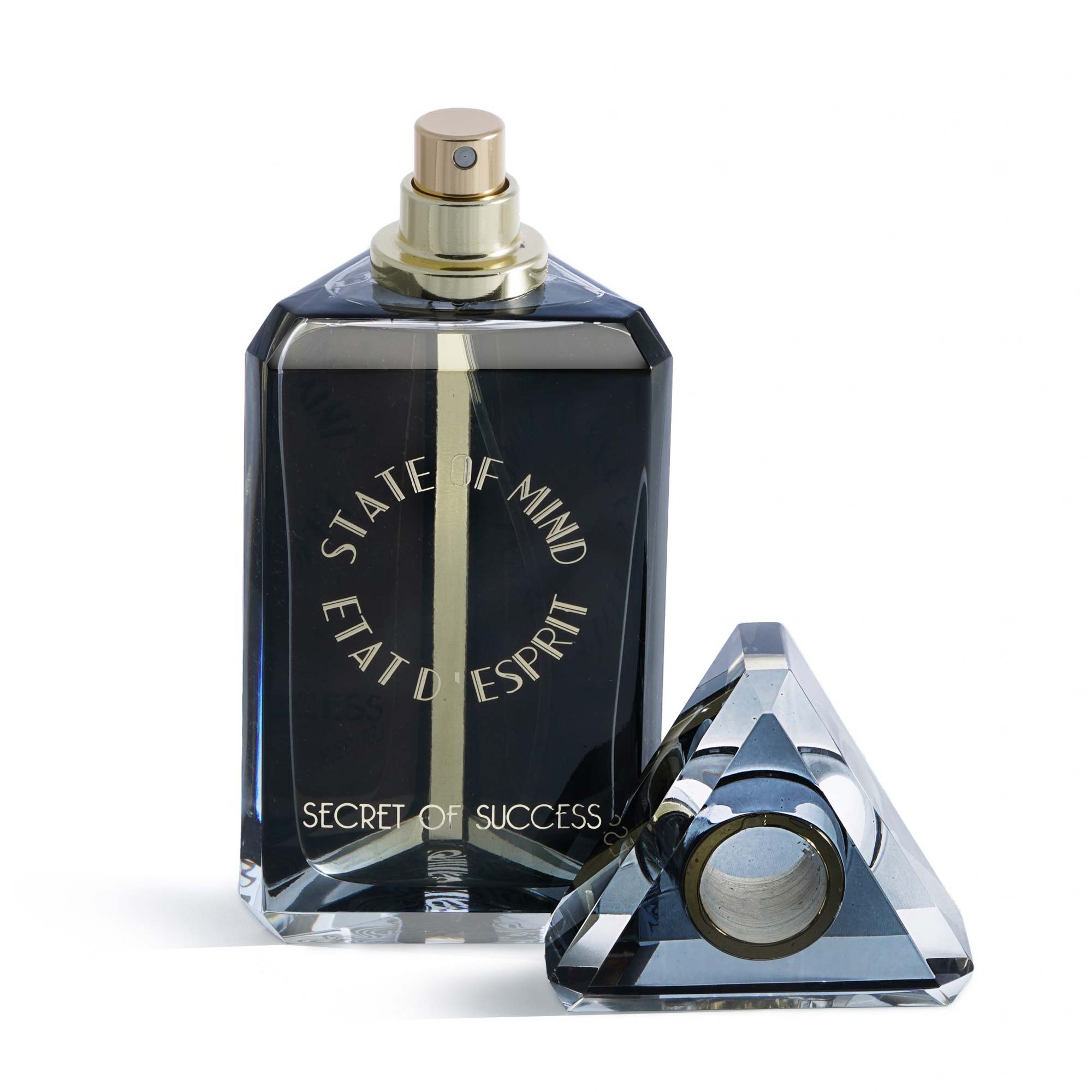 SOM SECRET OF SUCCESS EDP