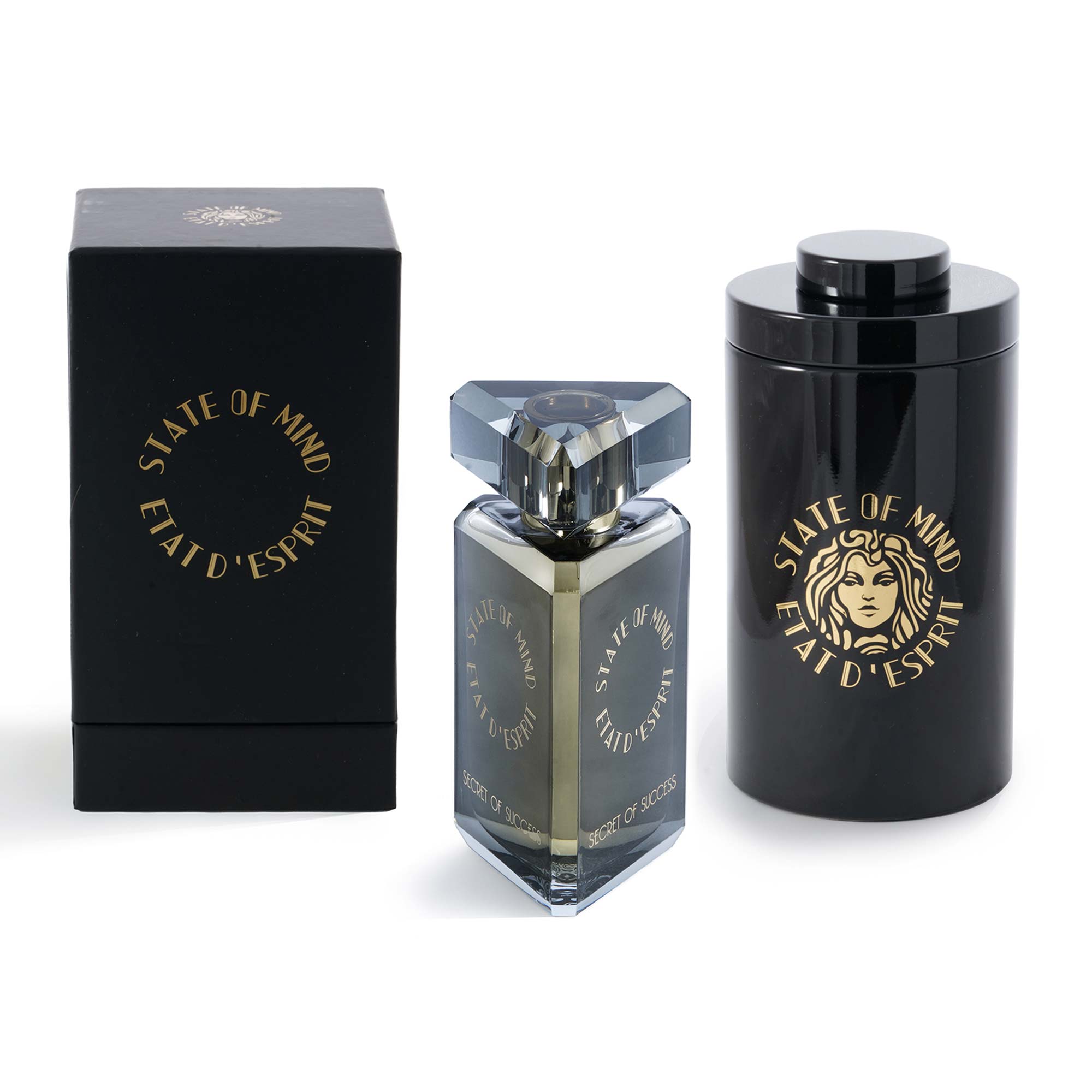 SOM SECRET OF SUCCESS EDP